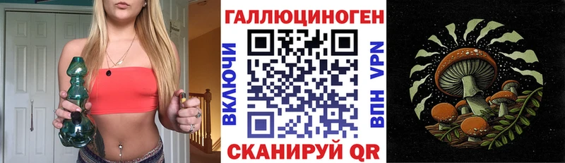 Псилоцибиновые грибы мицелий  гидра как войти  Новосокольники  наркошоп 