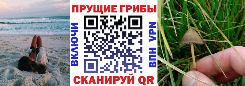 Псилоцибиновые грибы GOLDEN TEACHER Новосокольники